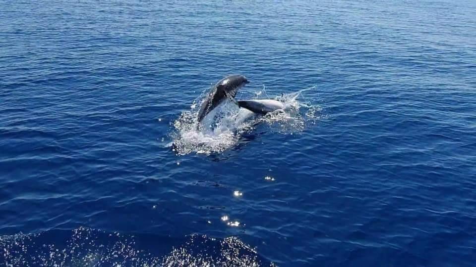 Dolcesosta B&B Marina Di Pulsano Eksteriør bilde